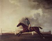 Bay time tone with John Singleton Up George Stubbs